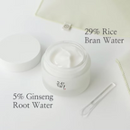 Beauty of Joseon - Dynasty Cream - Beauty Station by Rafia