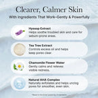 Arencia - Hyssop Sebum Control Rice Cake Cleanser