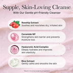 Arencia - Rosehip Mild PH Balancing Rice Cake Cleanser