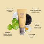 Haruharu Wonder - Black Rice Moisture Airfit Daily Sunscreen