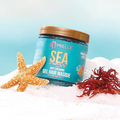 Mielle Organics - Sea Moss Anti-Shedding Gel Hair Masque - Beauty Station by Rafia