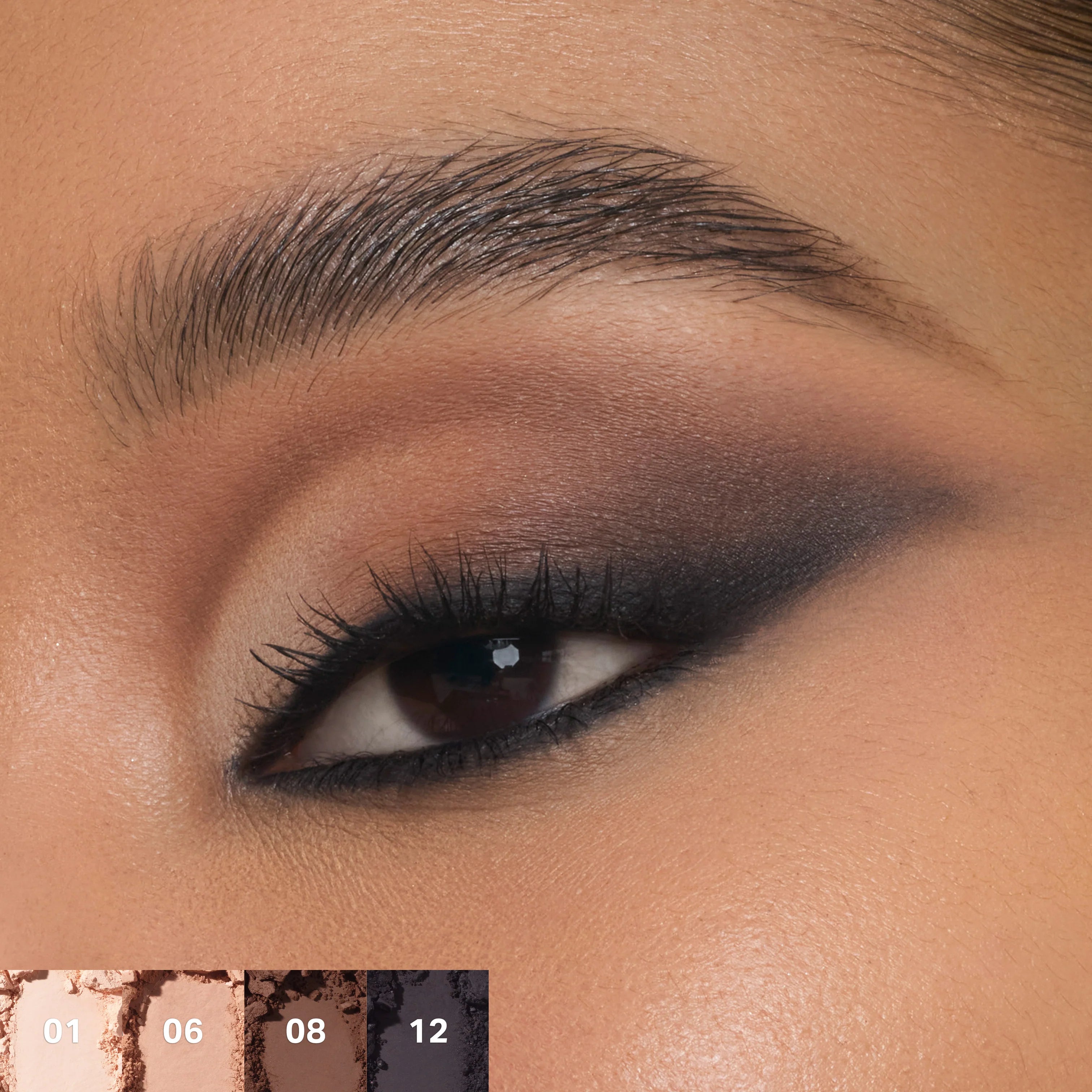 Morphe - ChromaPlus 12-Pan Eyeshadow Palette - Beauty Station by Rafia