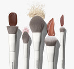 Morphe - Portrait Mode 5-Piece Face Brush Set - Beauty Station by Rafia