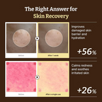 Rejuall - Advanced PDRN Rejuvenating Cream - Beauty Station by Rafia
