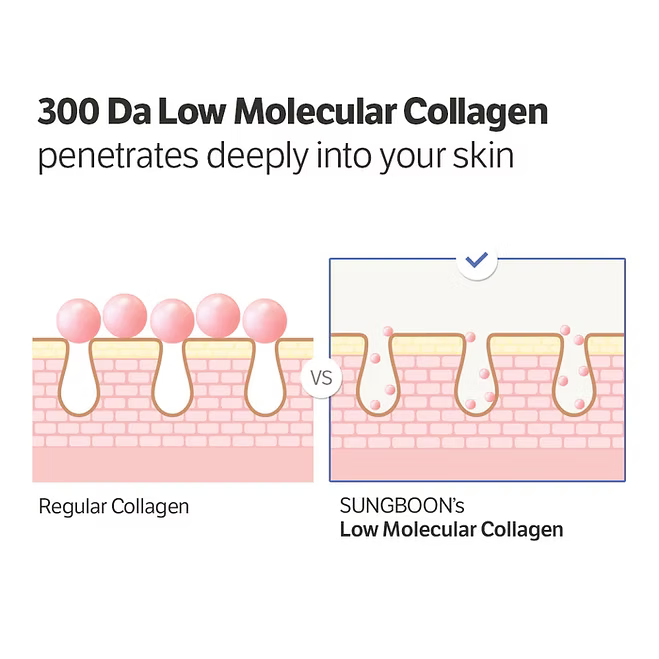 Sungboon Editor - Deep Collagen Cream In Serum - Beauty Station by Rafia