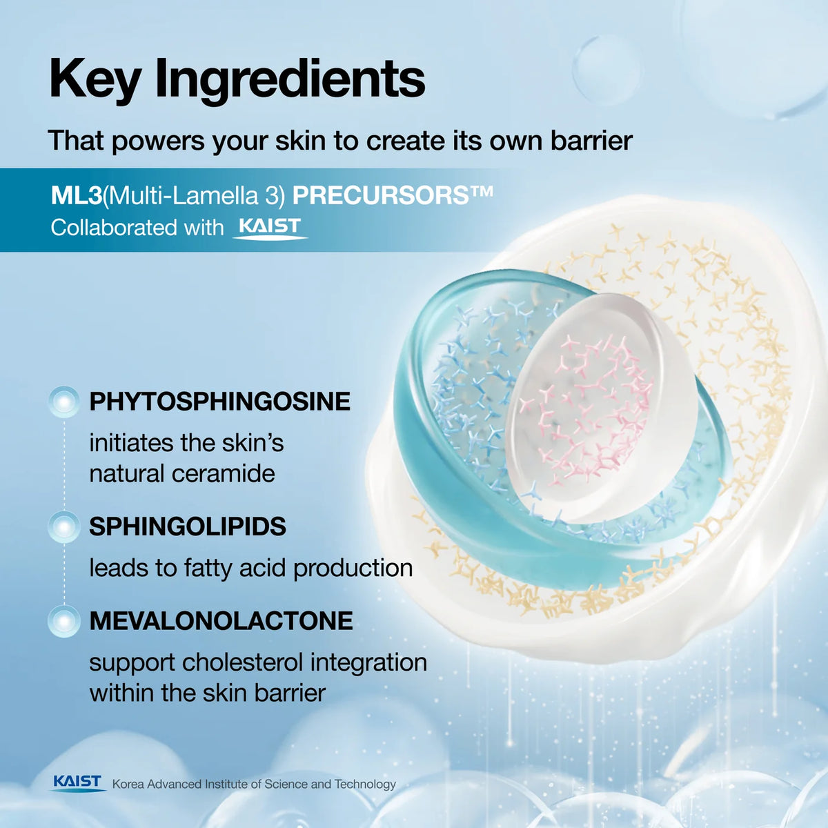 Anua - Barrier Reboot Water Gel Cream