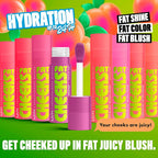 NYX - Fat Cheeks Liquid Blush - Beauty Station by Rafia